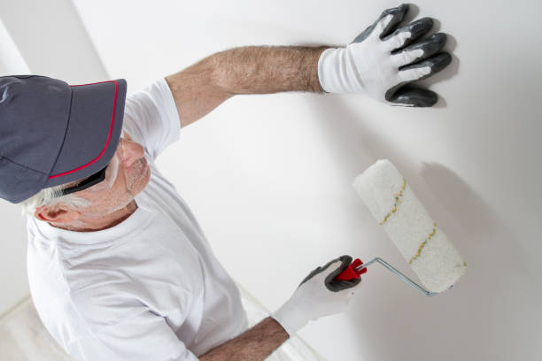 Best Comprehensive Air Testing for Mold Contaminants  in Arnold Line, MS