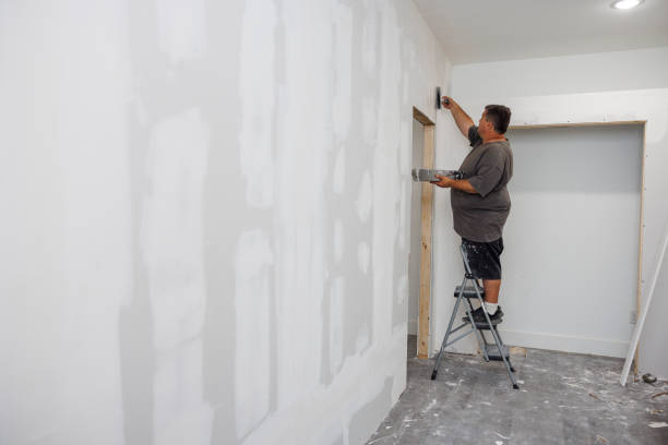 Best Basement Mold Removal  in Arnold Line, MS